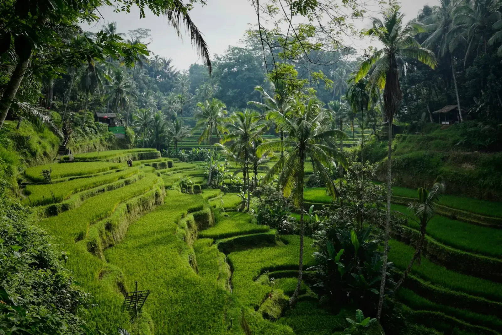 Bali coastline with surfers and coworking spaces - the surf and work intern lifestyle